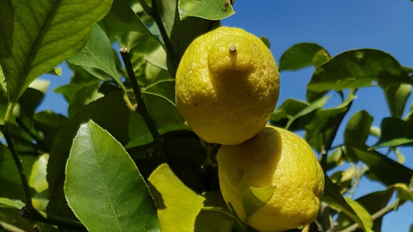 Een beetje Italië in Nederland